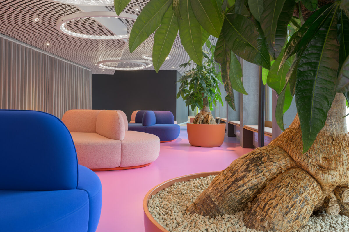 Innenbegrünung für Arbeitswelten und öffentliche Räume – Creaplant