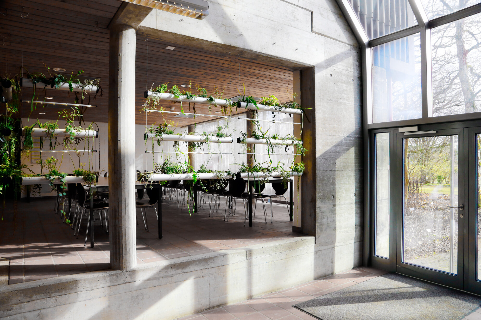 Innenbegrünung für Arbeitswelten und öffentliche Räume – Creaplant